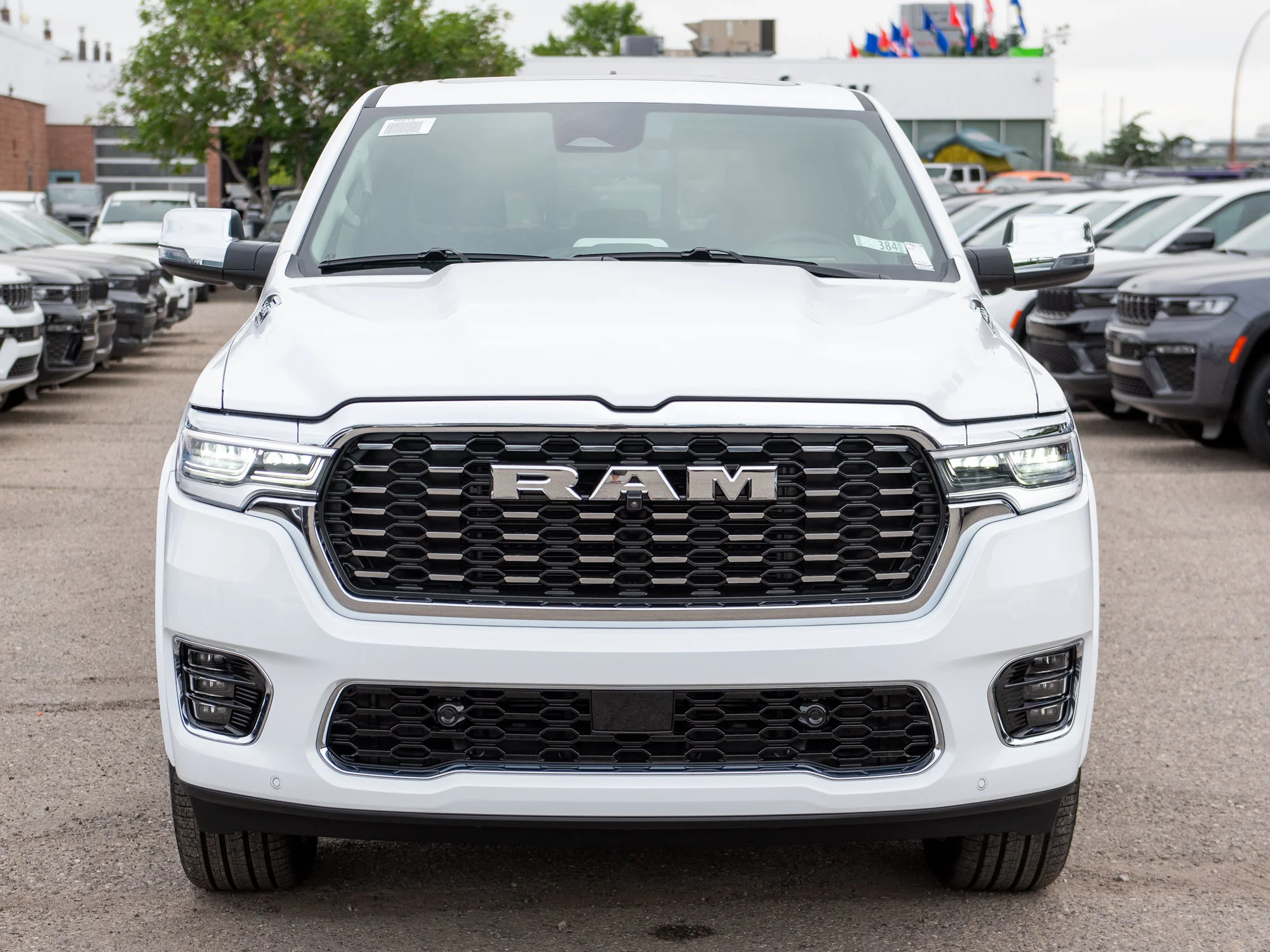 New 2026 White RAM Tungsten* image 12