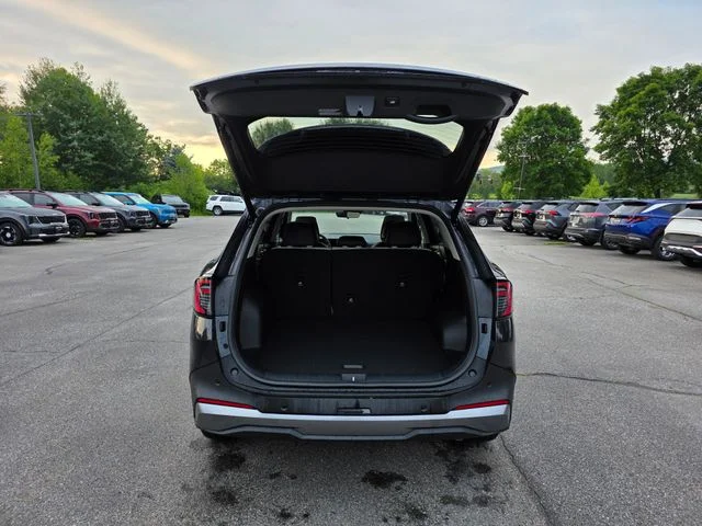 New 2026 Panthera Metal Gray Kia EX image 9