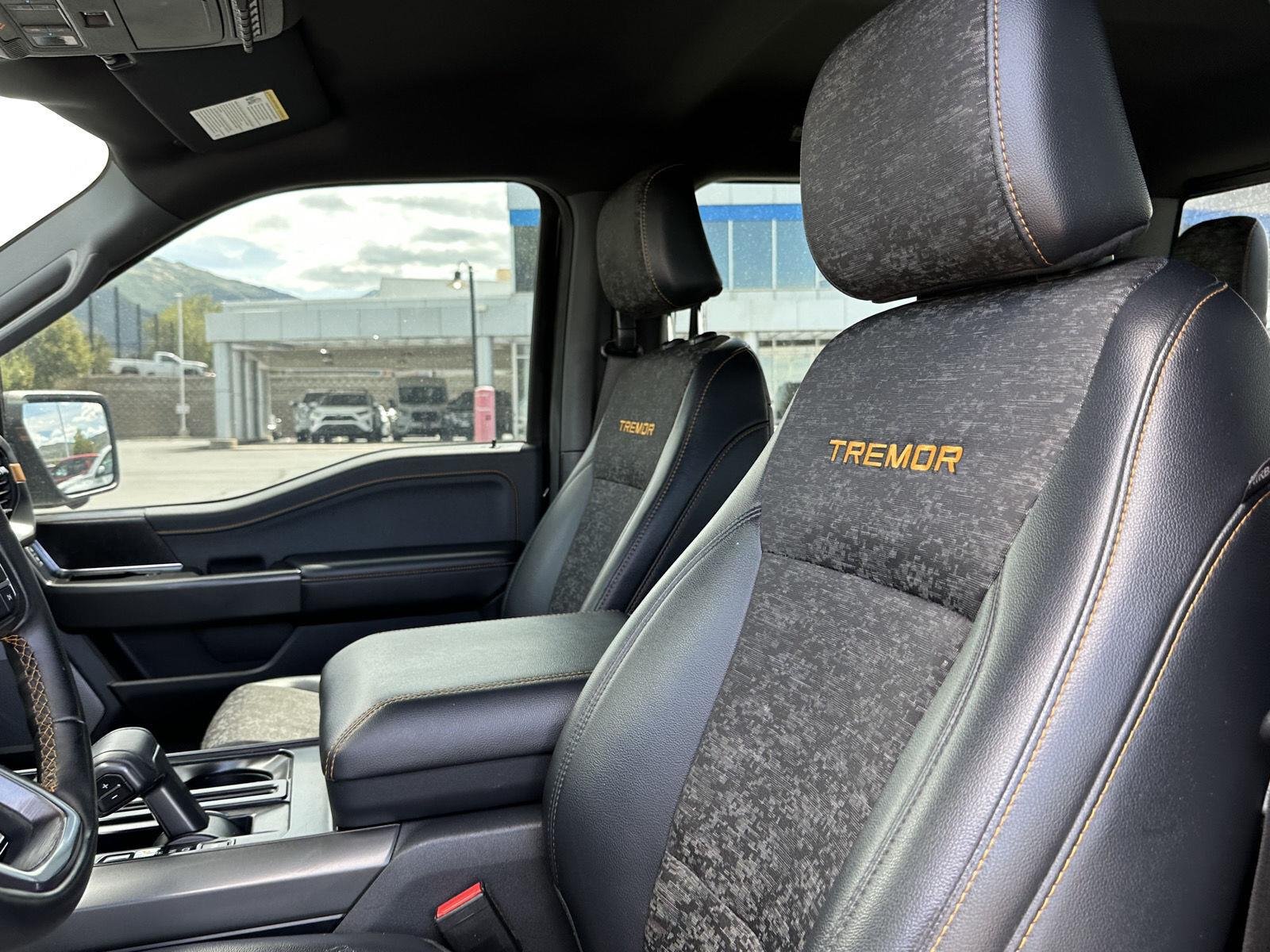 2025 Ford F-150 Tremor - Photo 28