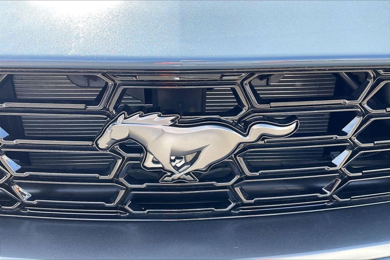 2025 Ford Mustang Dark Horse - Photo 26