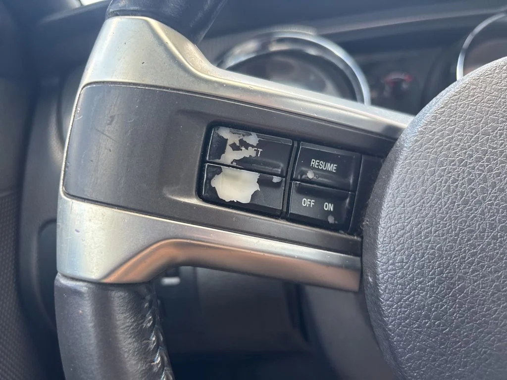 Used 2010  Ford GT Premium image 18