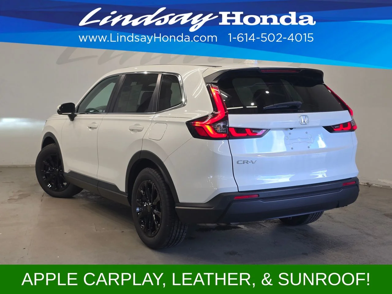 Used 2024 Platinum White Pearl Honda EX-L image 4
