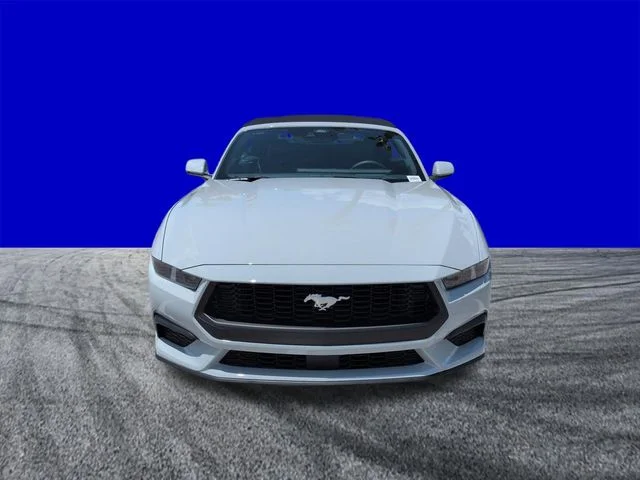 New 2026 Avalanche Gray Ford EcoBoost® Premium Convertible image 9