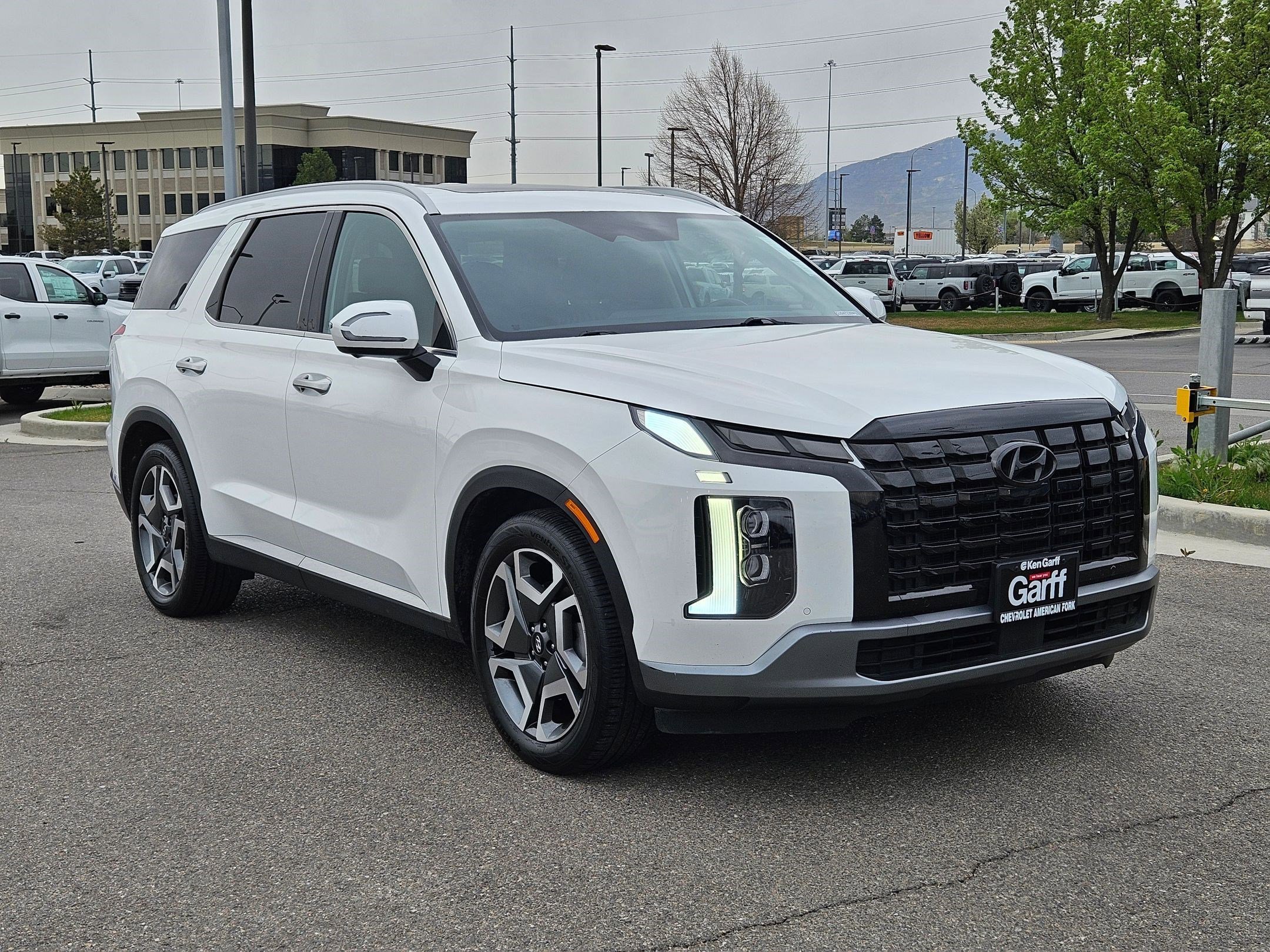 2025 Hyundai Palisade Limited AWD's photo