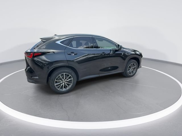 2023 Lexus NX 250 - Photo 8
