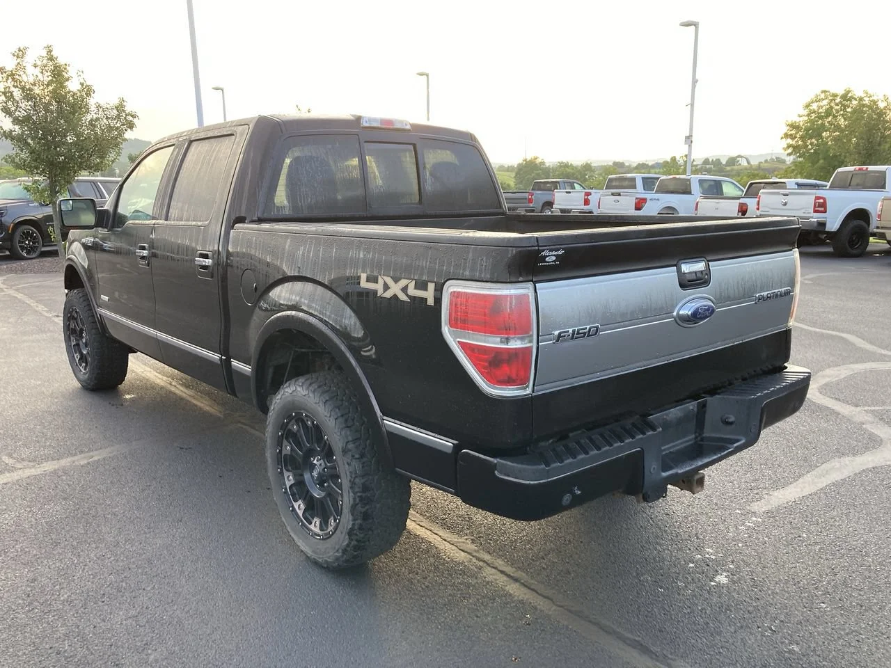 Used 2013 KODIAK BROWN META Ford XL image 5