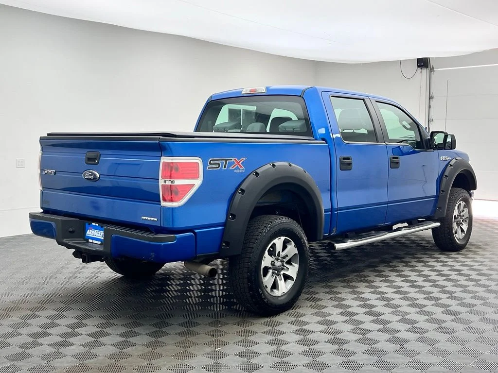 Used 2014 Blue Ford STX image 8