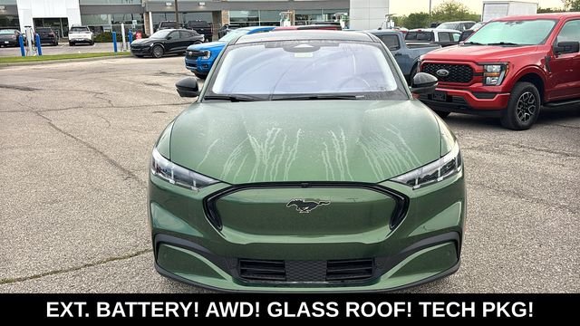 New 2026 Eruption Green Metallic Ford Premium image 6