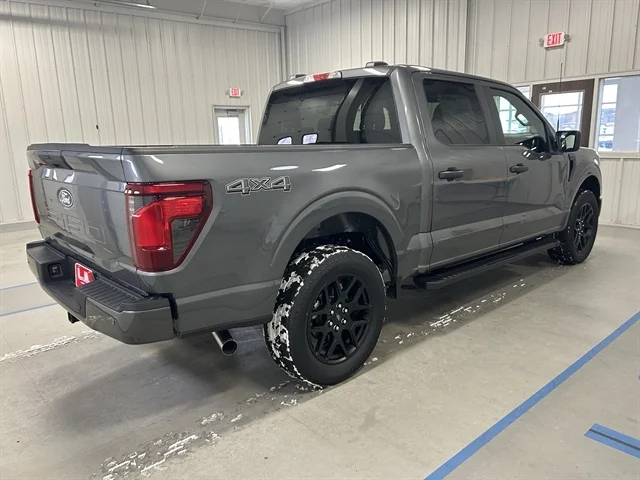 2025 Ford F-150 STX - Photo 5