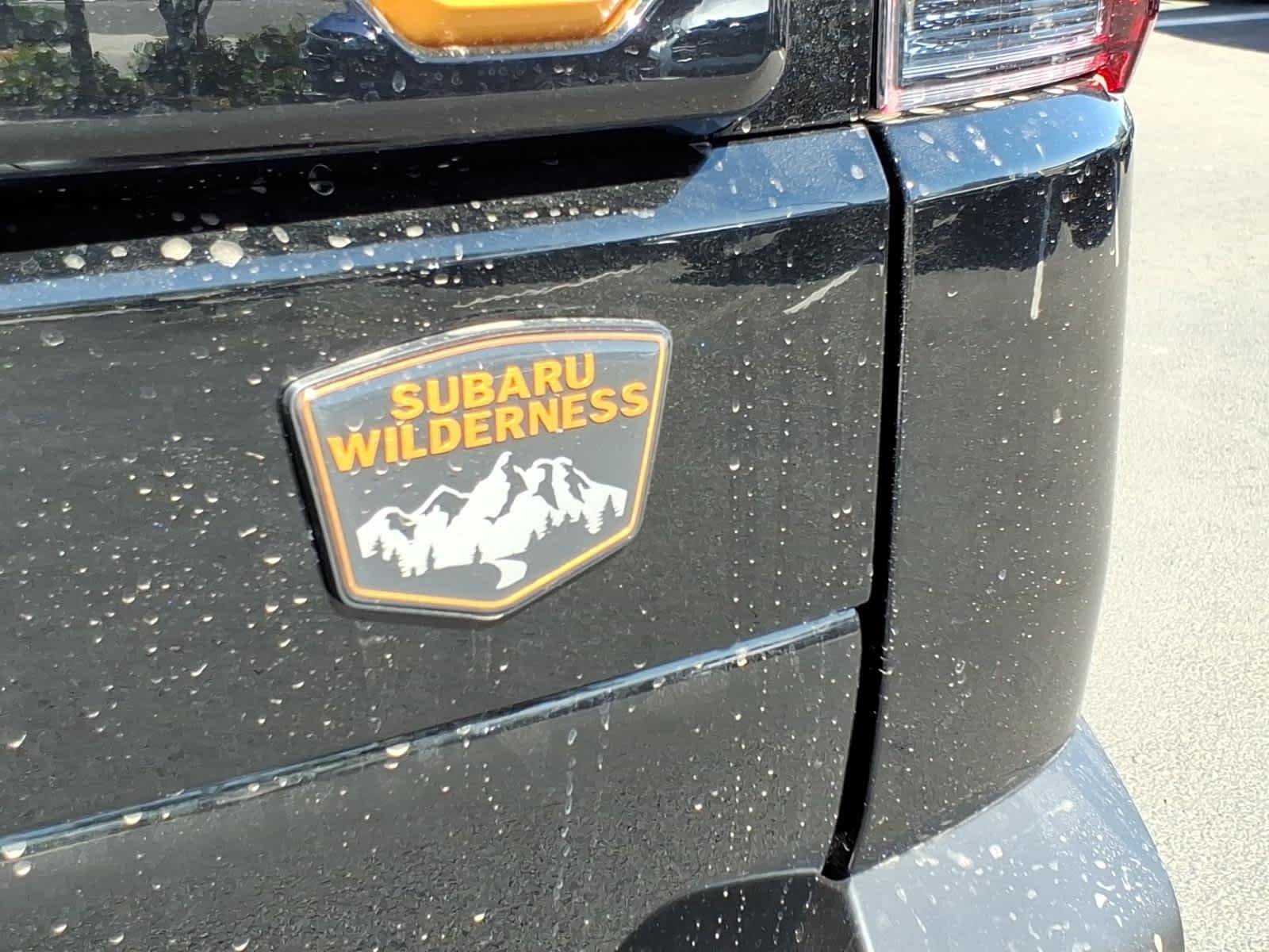 New 2026 CRYSTAL BLACK SILICA Subaru Wilderness image 12