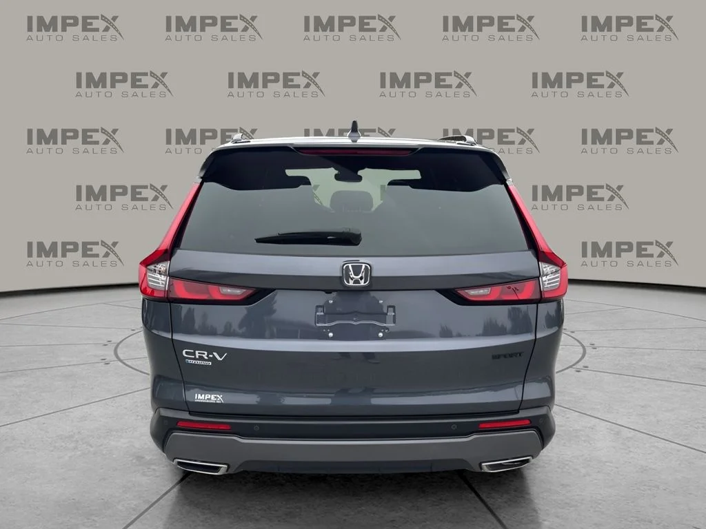 Used 2024 Blue Honda Sport-L image 4