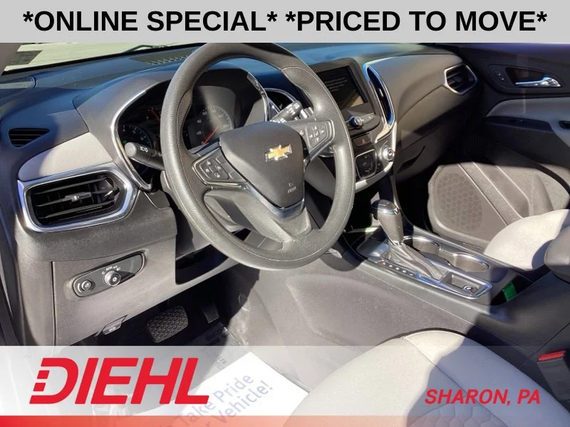 Used 2019 Silver Chevrolet LS image 24