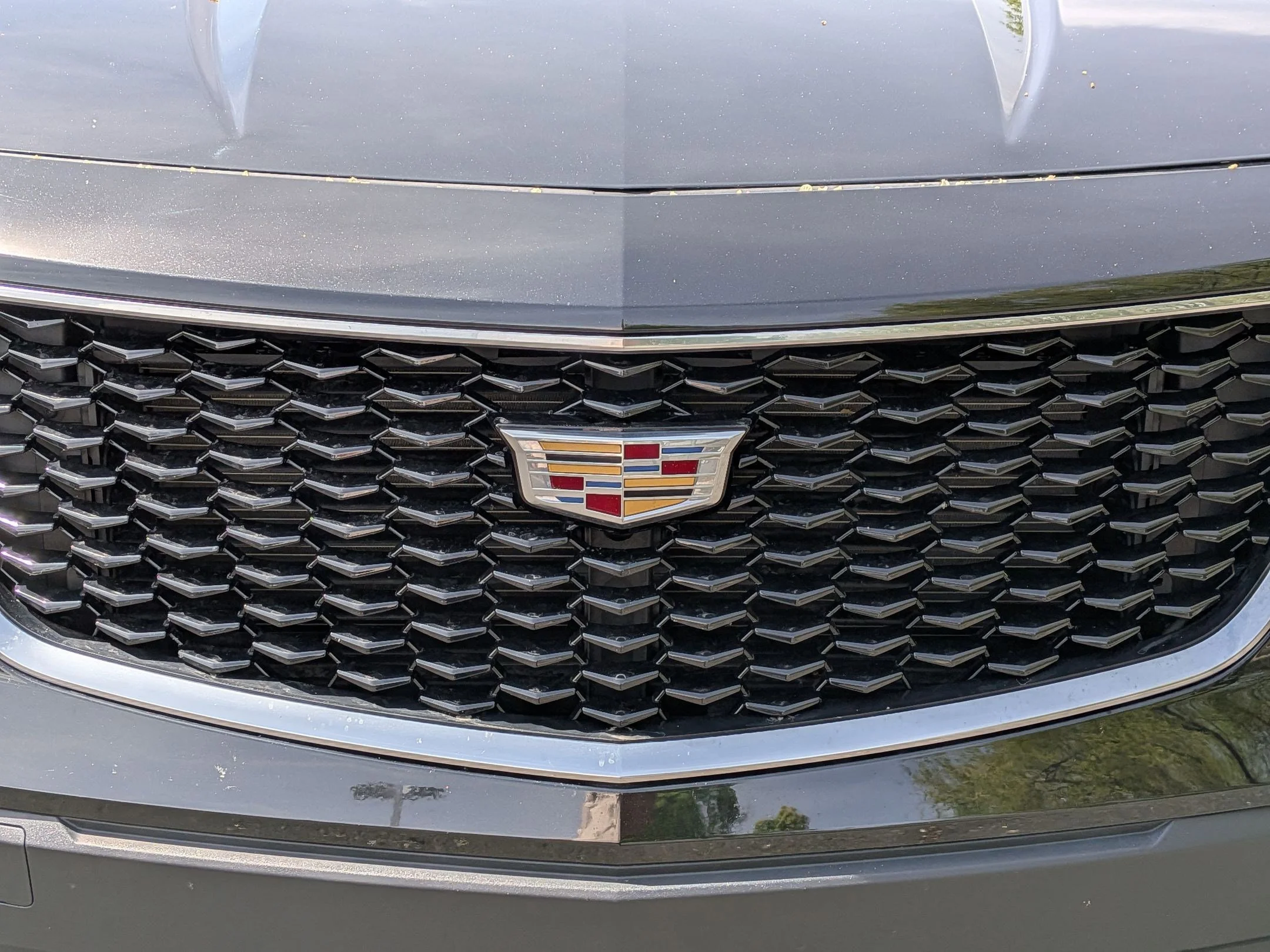 Used 2023 Stellar Black Metallic Cadillac Sport image 9