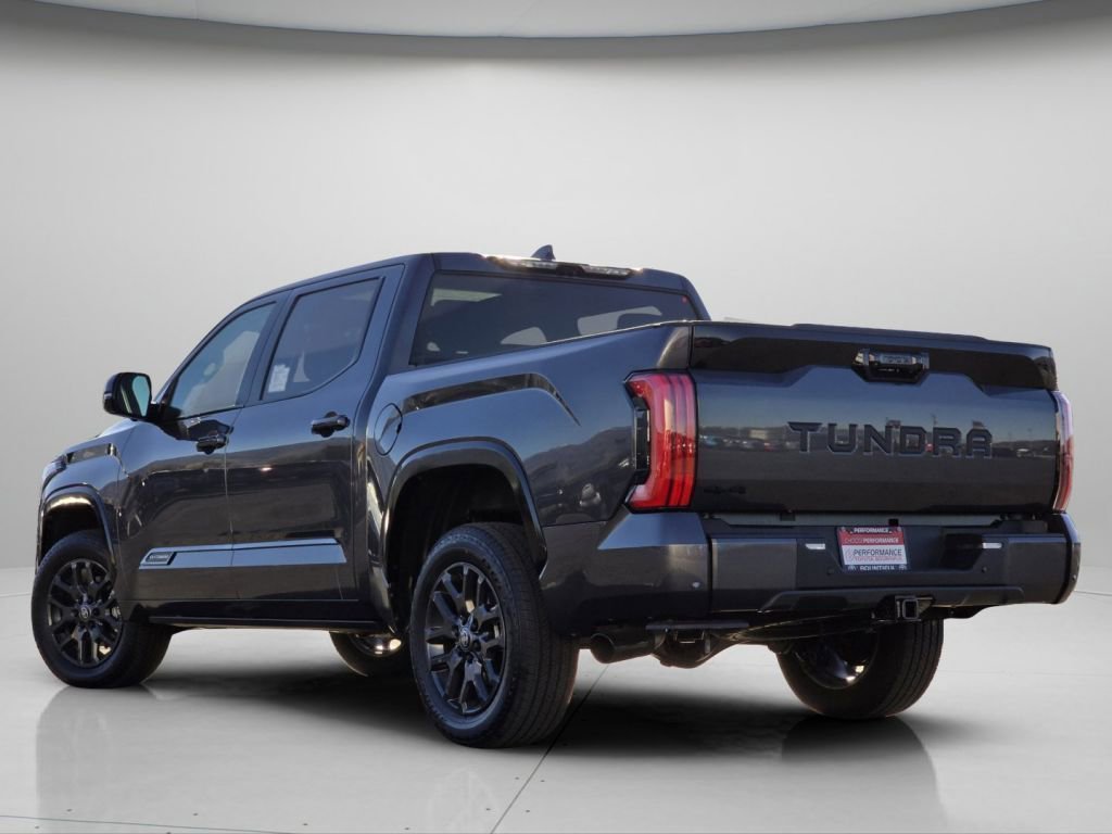 New 2026 Magnetic Gray Metallic Toyota Platinum image 23