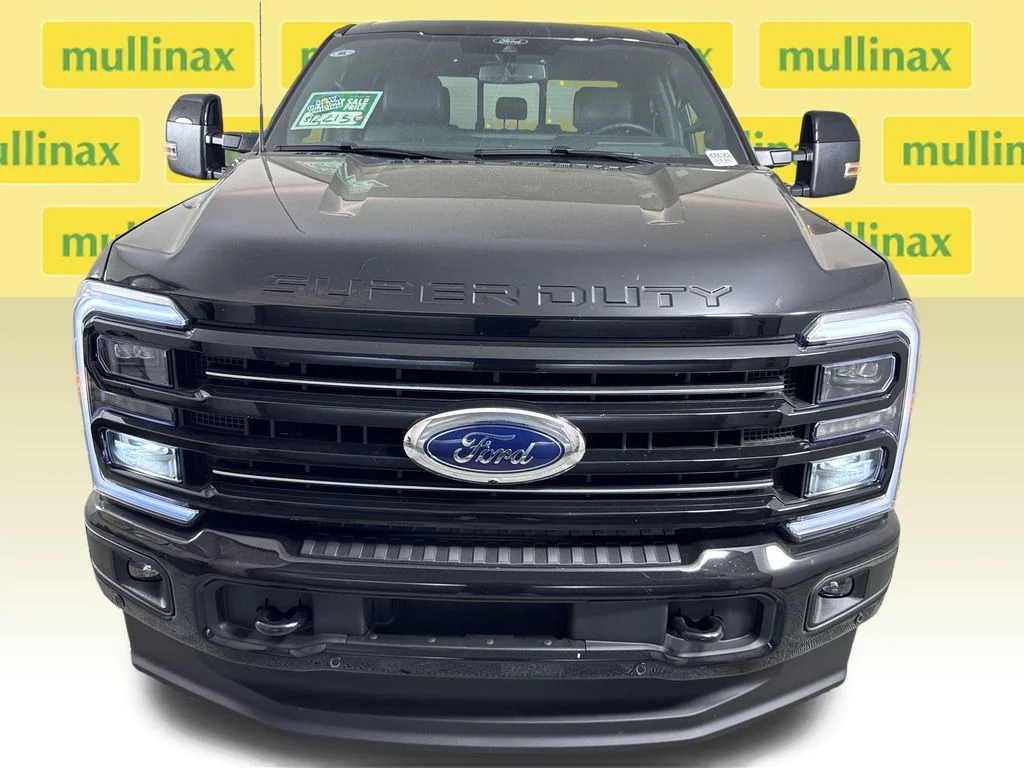 New 2026 Black Ford Platinum image 19