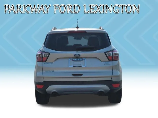 Used 2017 Gold Ford SE image 4