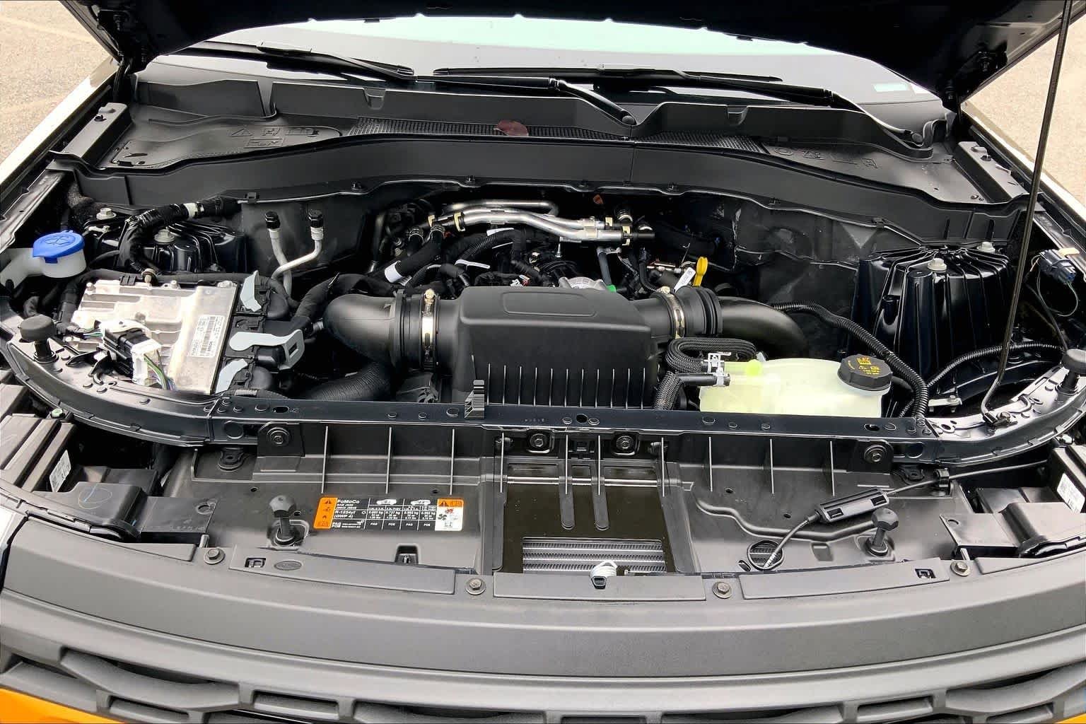 New 2027 Marsh Gray Ford Tremor image 14