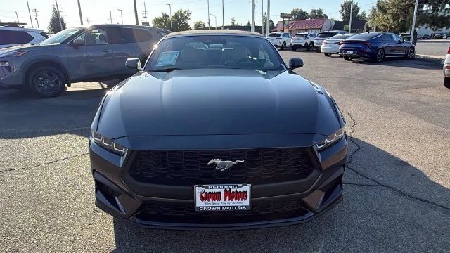 Used 2024 Gray Ford EcoBoost Premium image 8