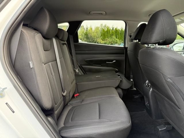 Used 2026 Serenity White Pearl Hyundai SEL image 14