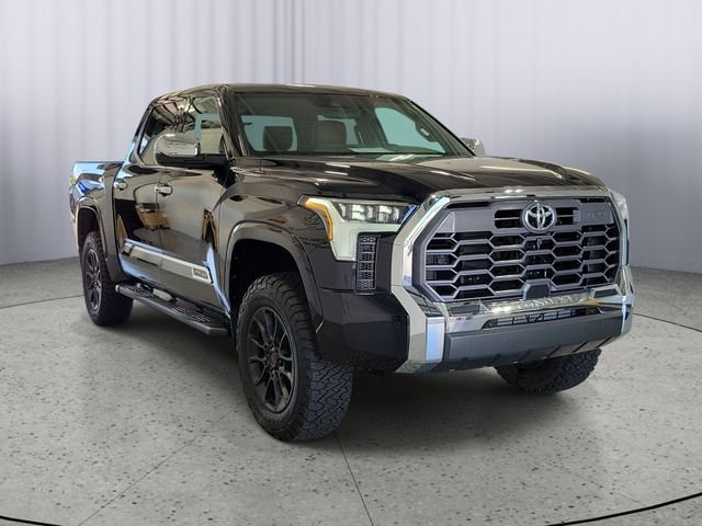 Used 2025 Black Toyota 1794 image 1