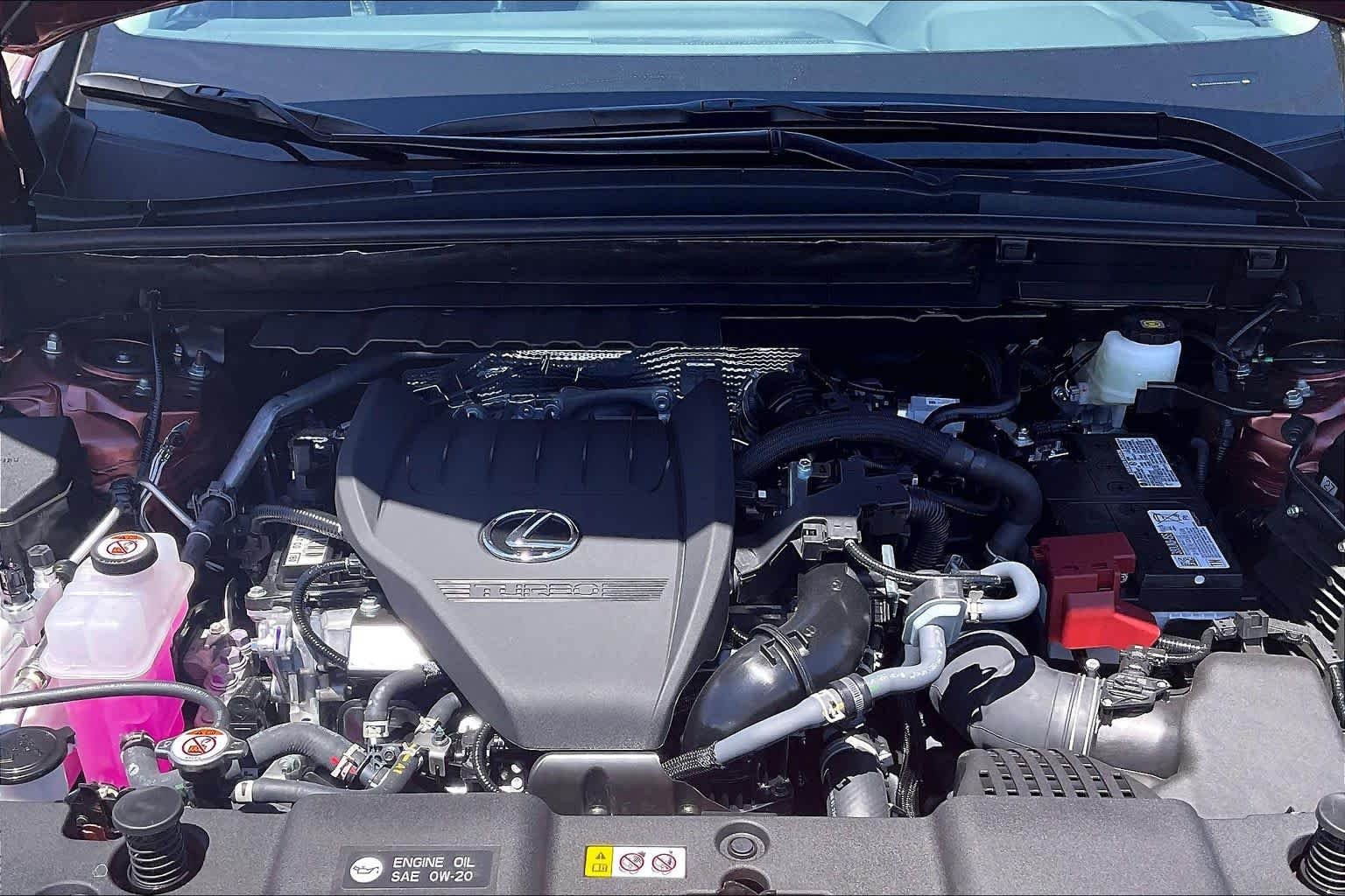 New 2026 Copper Crest Lexus PREMIUM image 16