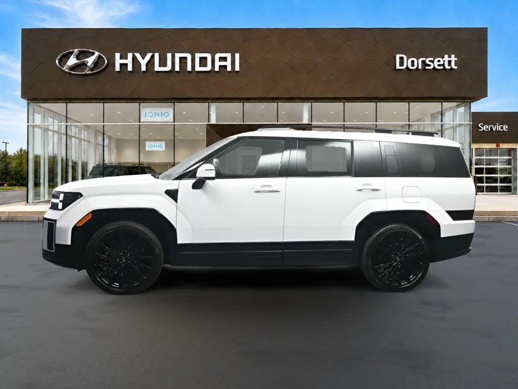 New 2026 Serenity White Hyundai Calligraphy image 5
