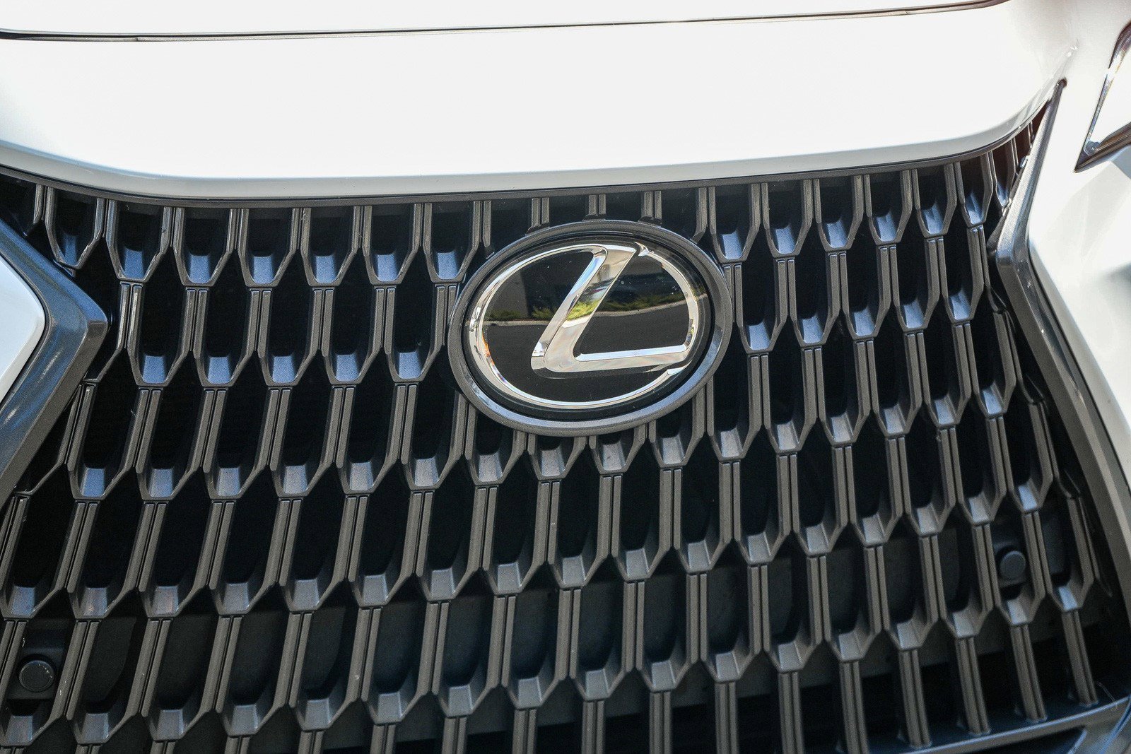 2024 Lexus NX 350 - Photo 8