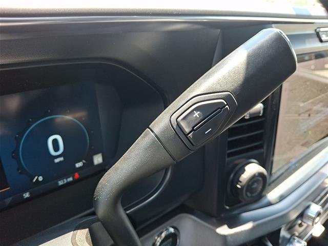 New 2026 Carbonized Gray Metallic Ford F-250® Platinum® image 31