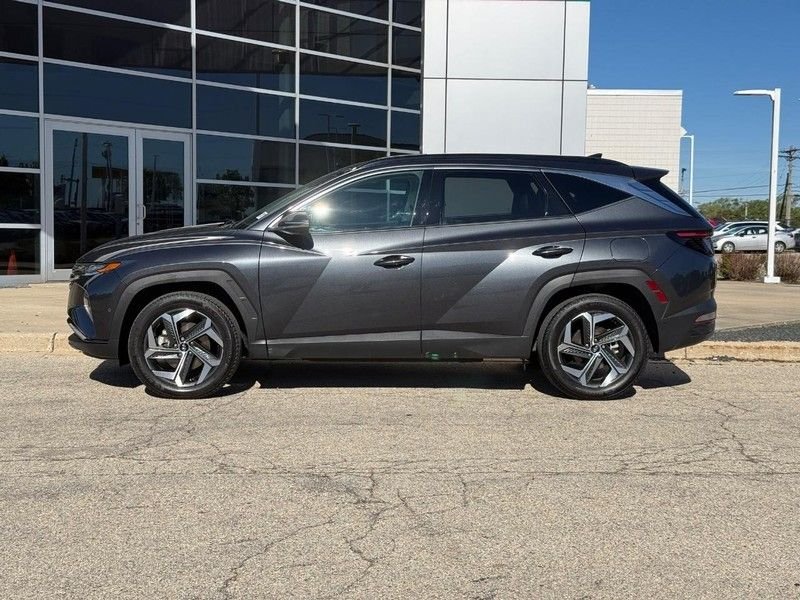 Used 2024 Dark Gray Metallic Hyundai Limited image 6