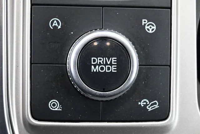 Used 2021 Blue Ford Platinum image 29