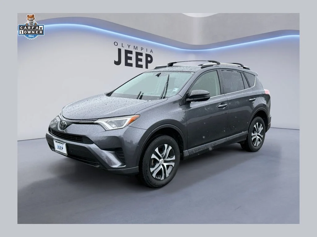 2018 Toyota RAV4 LE AWD's photo