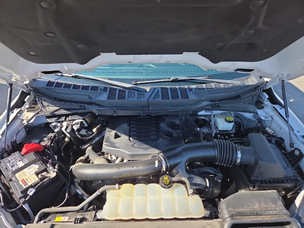 Used 2022 White Ford Platinum image 25