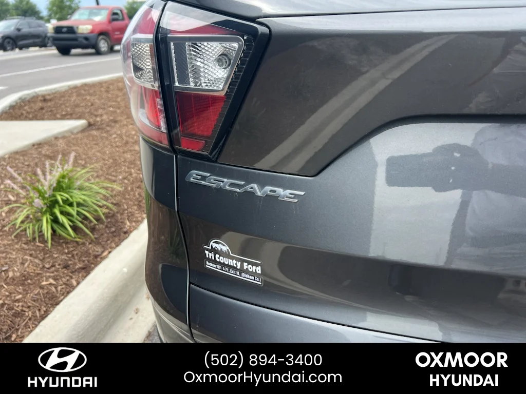 Used 2017 Magnetic Metallic Ford Titanium image 13