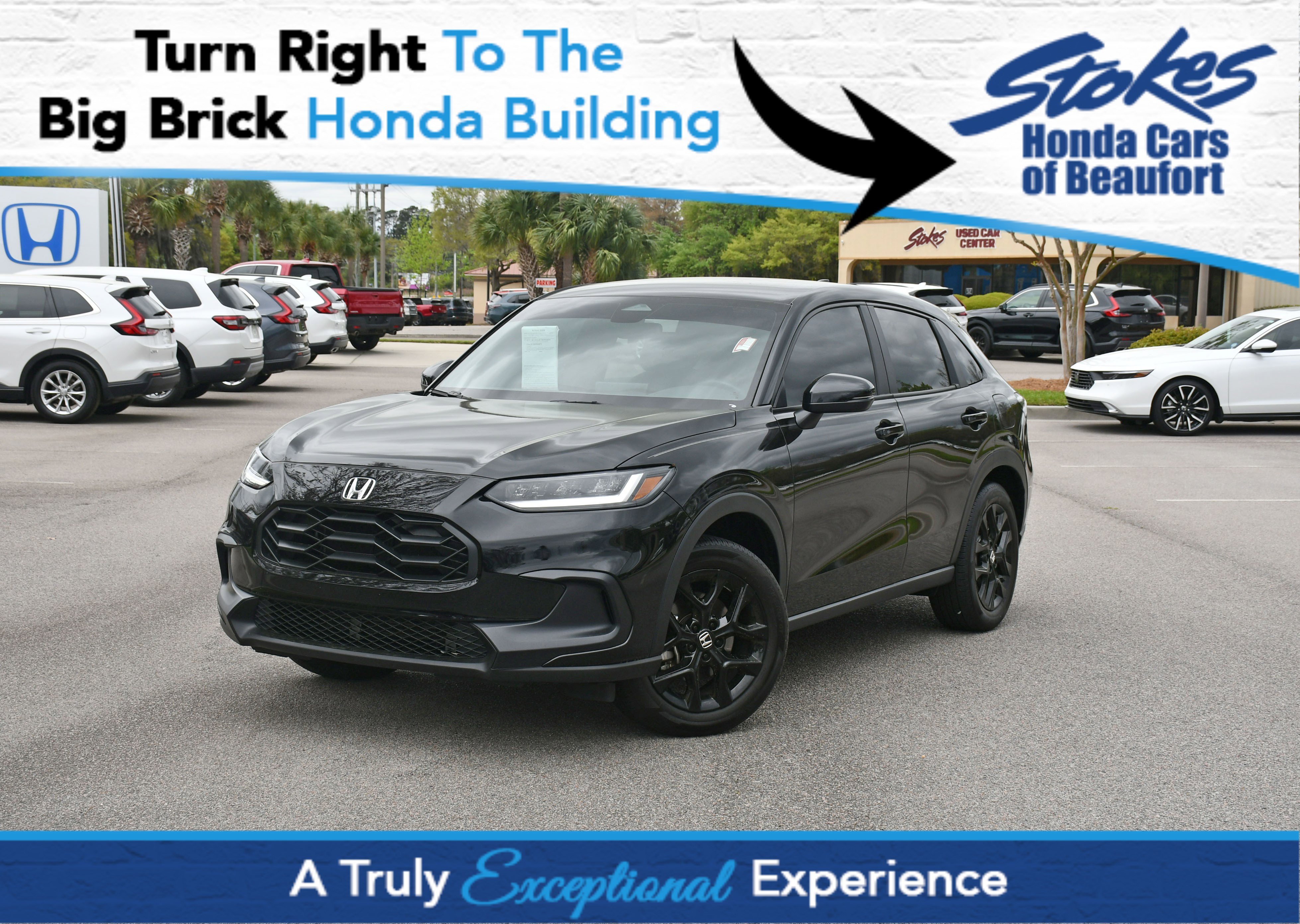 Used 2024 Black Honda Sport image 1