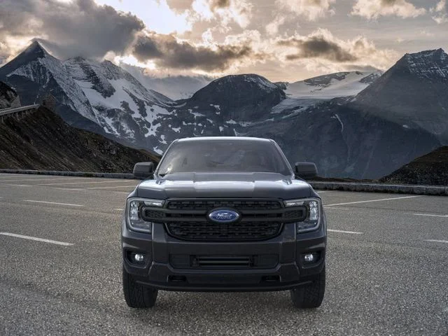 New 2025 Shadow Black Ford XL image 6