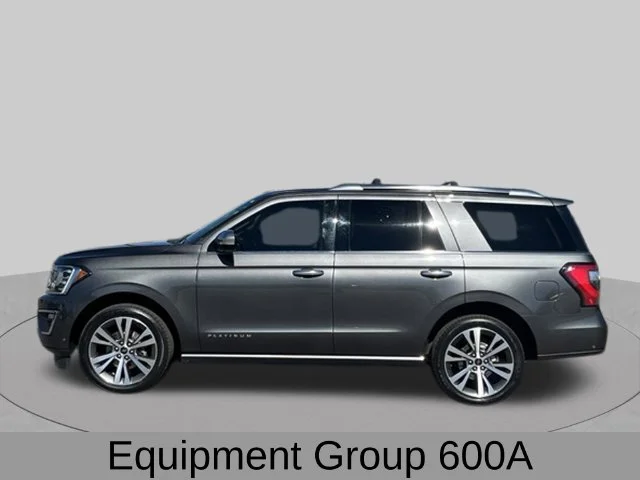 Used 2020 Gray Ford Platinum image 3