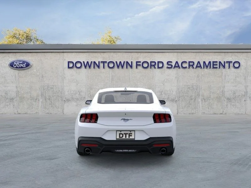 New 2026 White Ford EcoBoost image 6