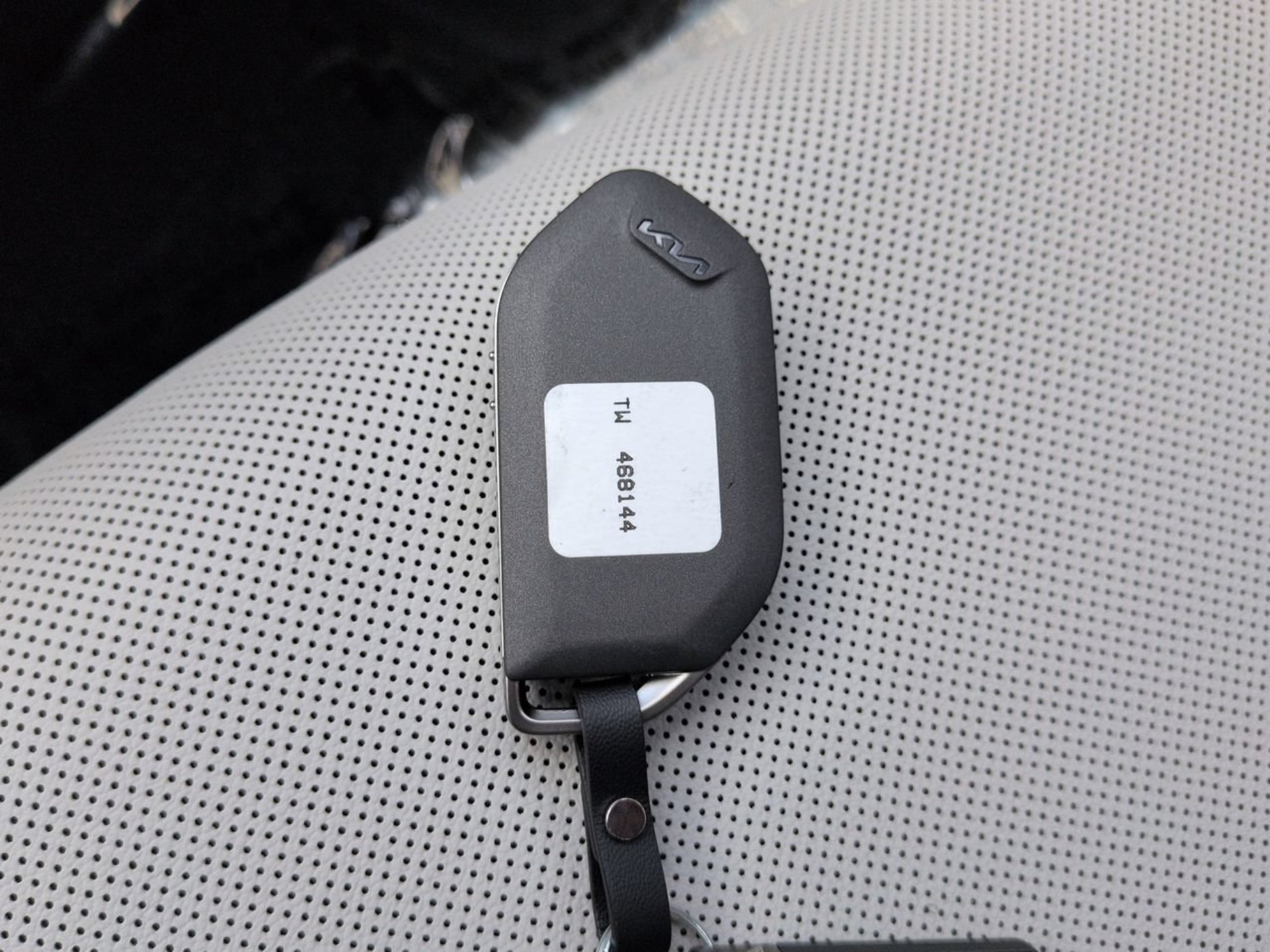 New 2026 Panthera Metal Gray Kia EX image 35