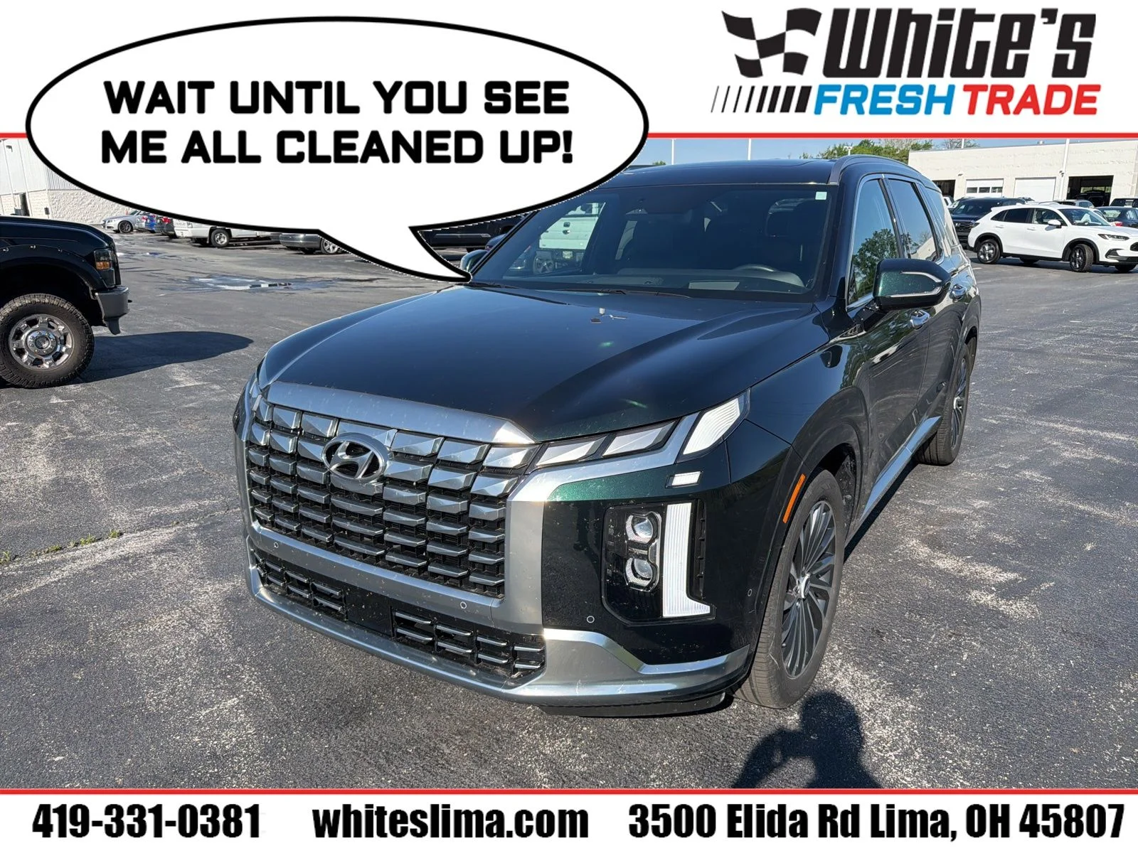 2025 Hyundai Palisade Calligraphy AWD's photo
