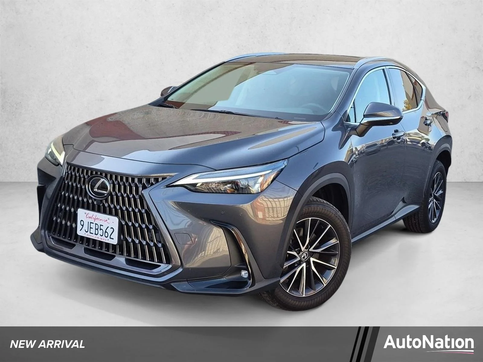 2024 Lexus NX
