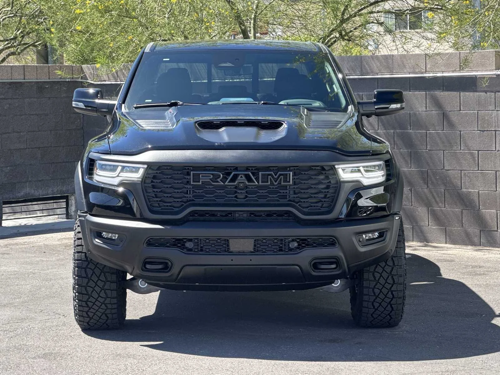 New 2026 Diamond Black Crystal Pearl-Coat Exterior Paint RAM RHO image 3