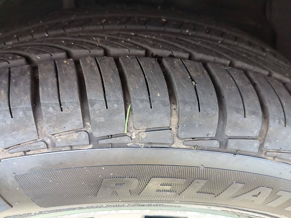 Used 2011 Aloe Green Metallic Toyota XLE image 13