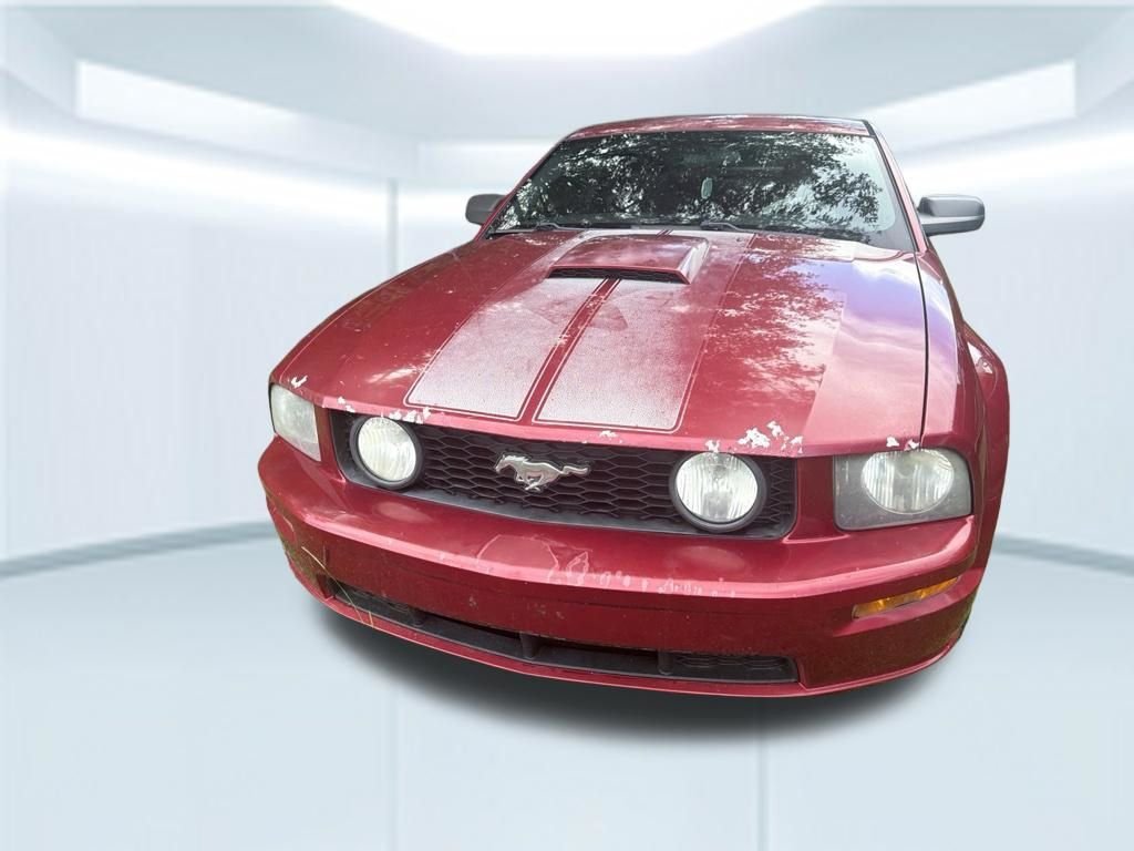 Used 2006  Ford GT Deluxe image 14