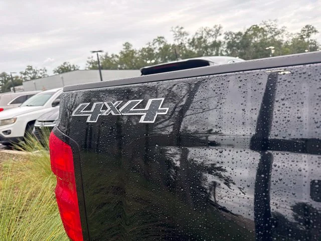 Used 2017 Black Chevrolet WT image 4