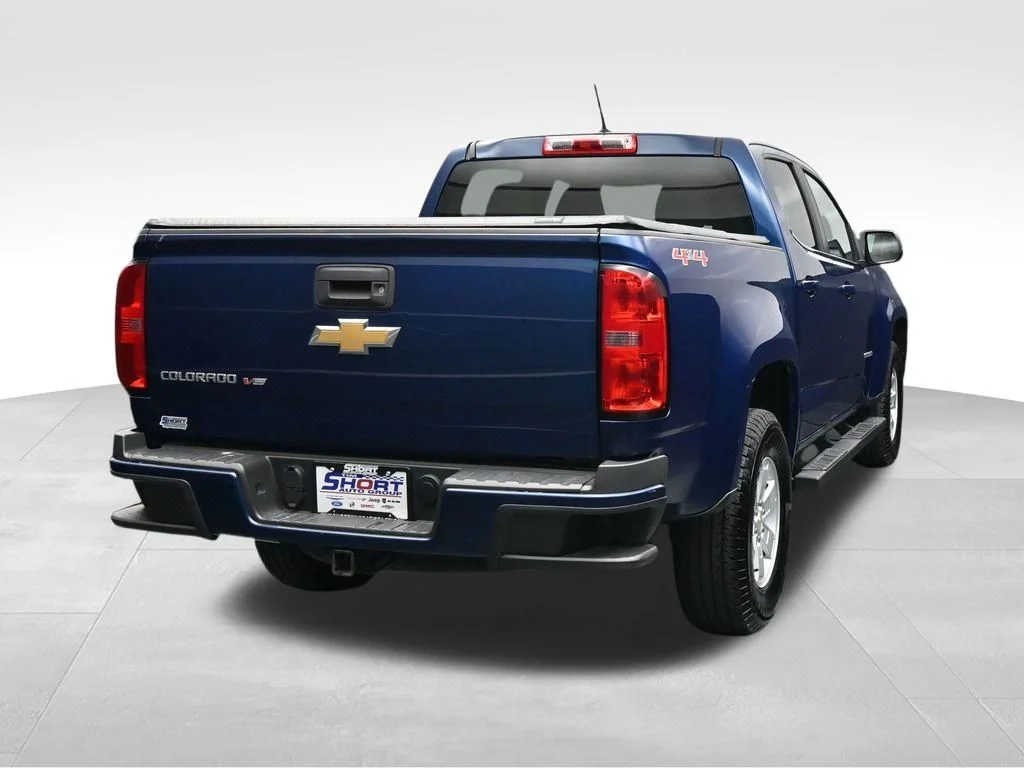 Used 2019 Blue Chevrolet Work Truck image 6