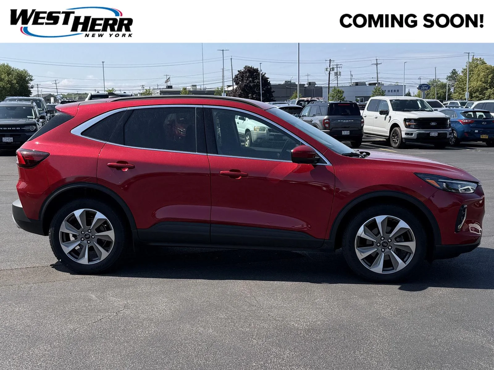 Used 2023 Rapid Red Metallic Tinted Clearcoat Ford Platinum image 1