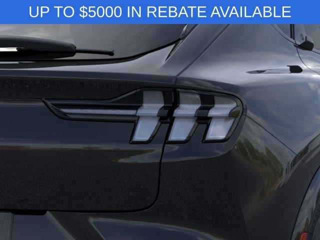 New 2026 Shadow Black Ford Premium image 21