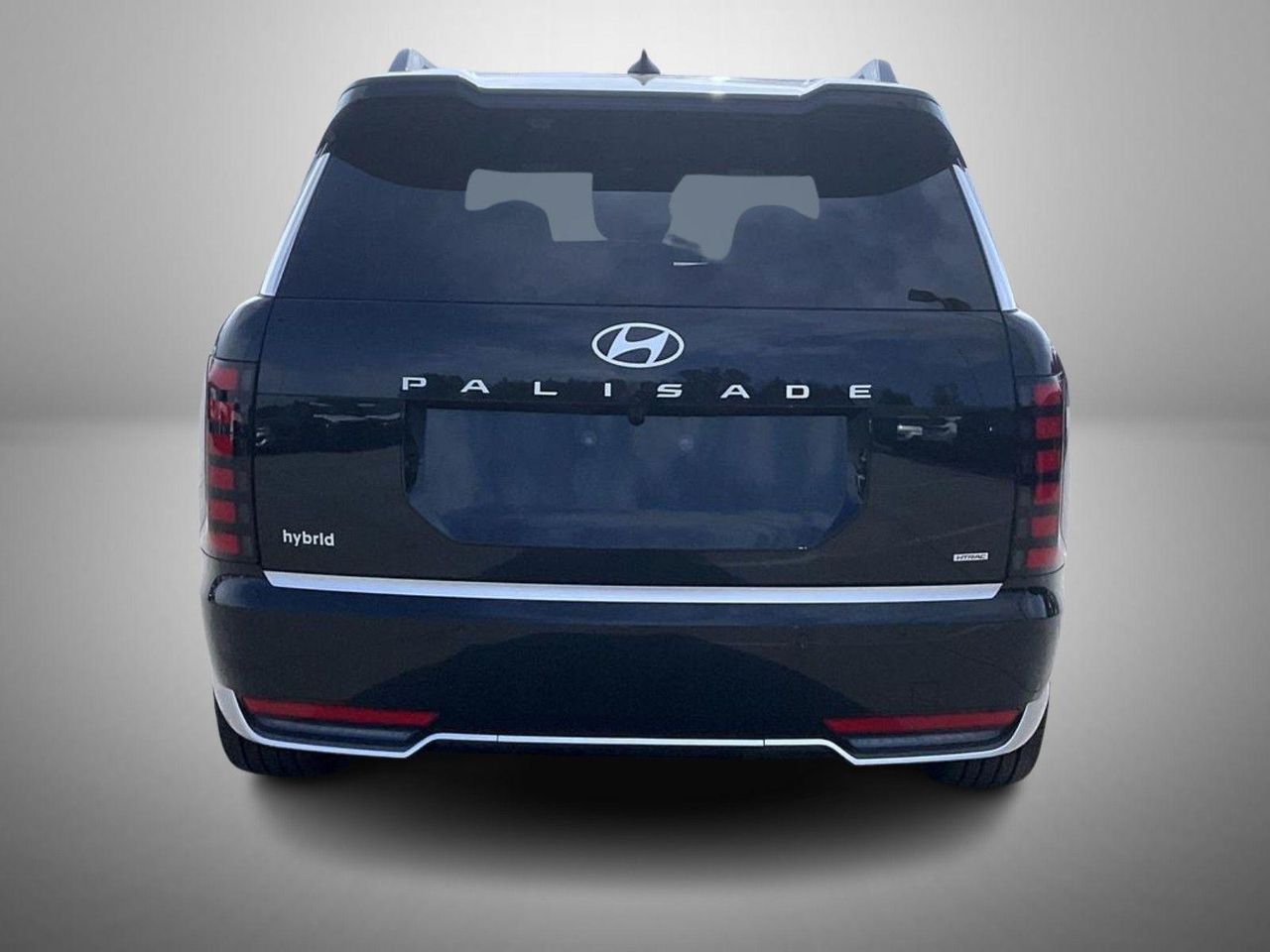 New 2026 Green Hyundai Calligraphy image 6