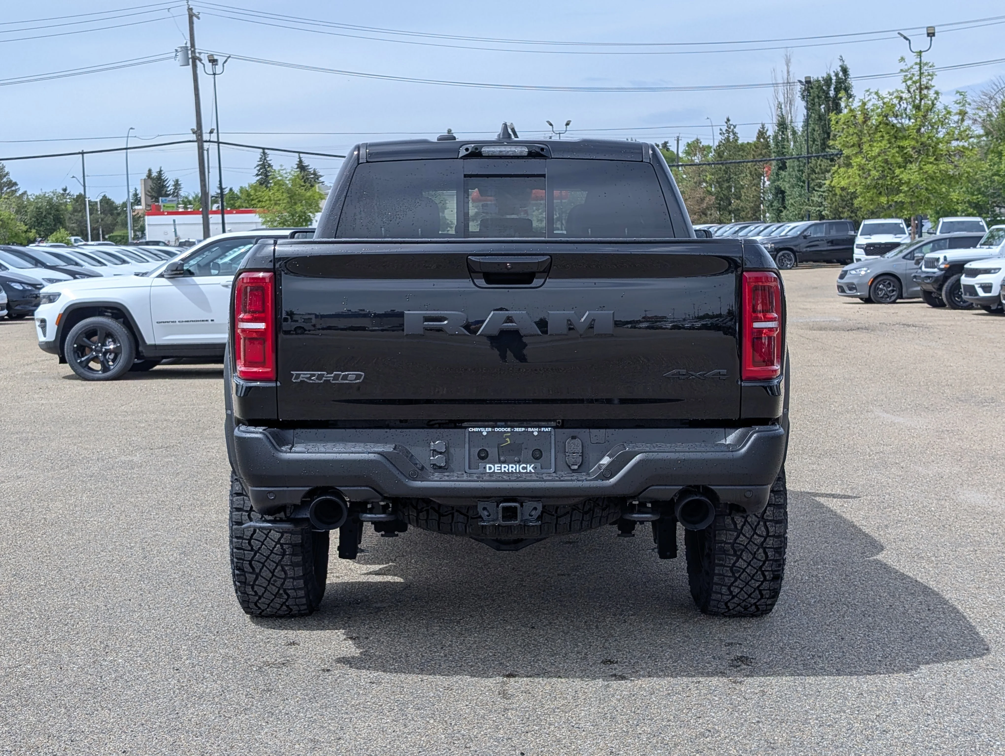 New 2026 Diamond Black Crystal Pearl Ram RHO image 5
