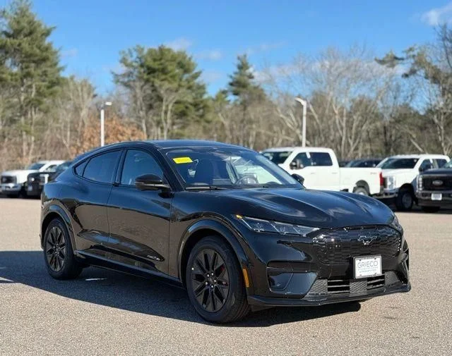 2025 Ford Mustang-Mach-e Premium's photo